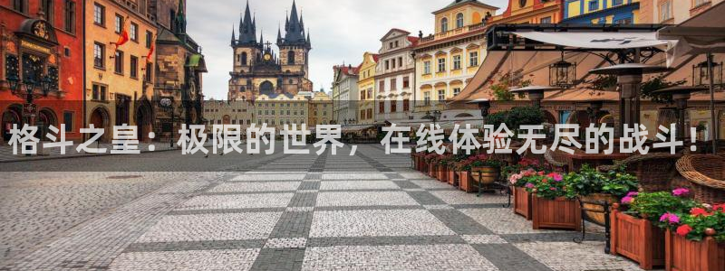 长征娱乐4开户：格斗之皇：极限的世界，在线体验无尽的战斗！