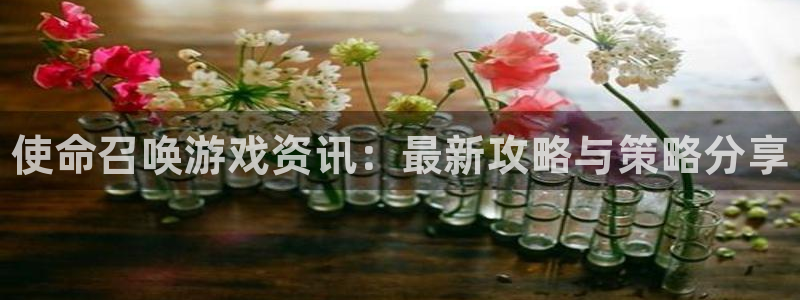 长征娱乐平台登录线路：使命召唤游戏资讯：最新攻略与策略分享