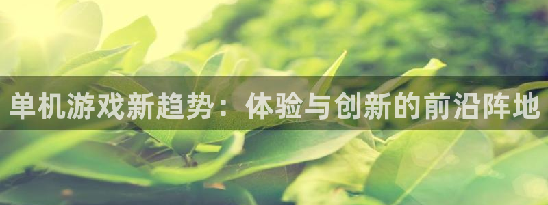 长征娱乐注册官方登录app：单机游戏新趋势：体验与创新的前沿