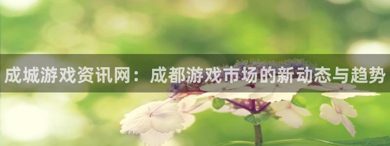 长征娱乐网址注册：成城游戏资讯网：成都游戏市场的新动态与趋势