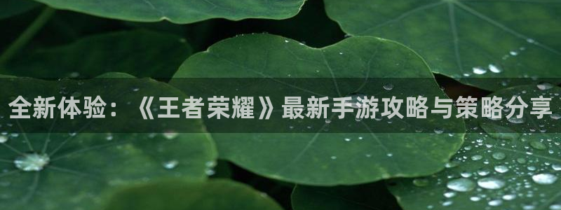 长征娱乐app下载地址：全新体验：《王者荣耀》最新手游攻略与