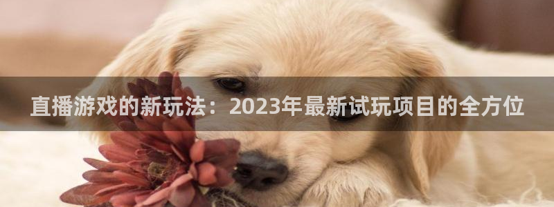长征娱乐登录：直播游戏的新玩法：2023年最新试玩项目的全方
