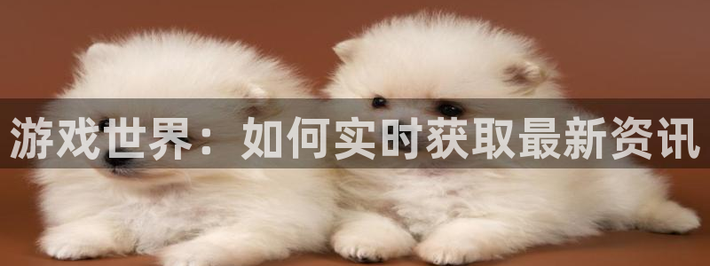 长征娱乐注册服务条款：游戏世界：如何实时获取最新资讯