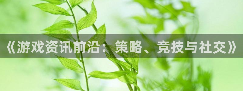 长征娱乐注册登录平台：《游戏资讯前沿：策略、竞技与社交》