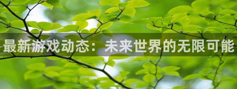 长征娱乐平台注册资金多少：最新游戏动态：未来世界的无限可能