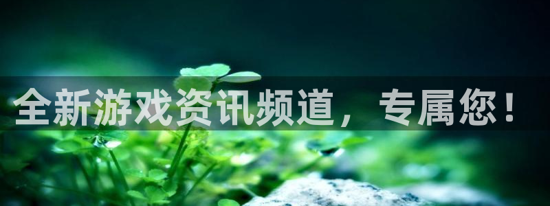 长征娱乐app下载：全新游戏资讯频道，专属您！