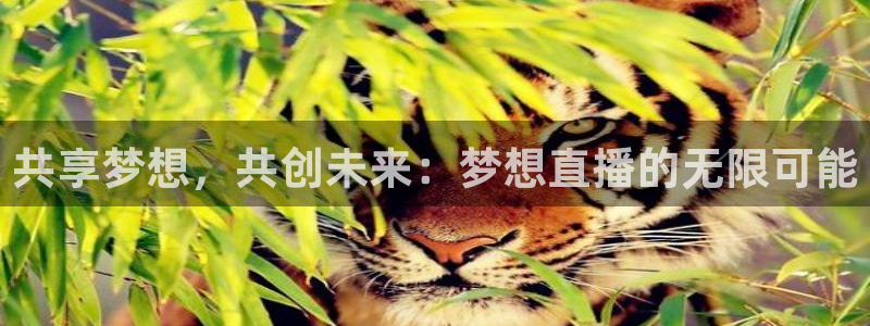 919看球直播nba：共享梦想，共创未来：梦想直播的无限可能