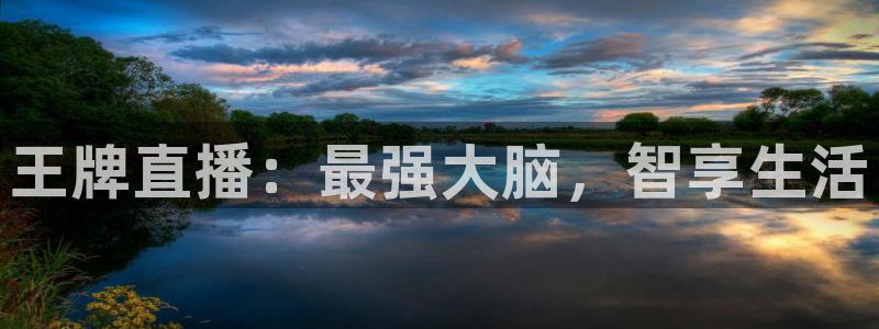 919直播平台官方网站：王牌直播：最强大脑，智享生活
