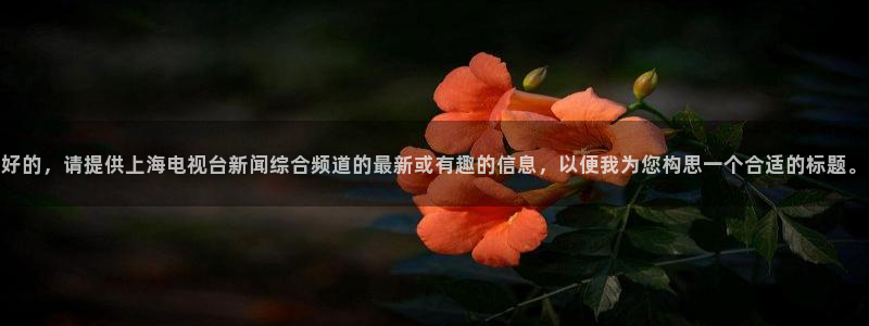 nba直播919：好的，请提供上海电视台新闻综合频道的最新或有趣的信息，以便我为您构思一个合适的标题。