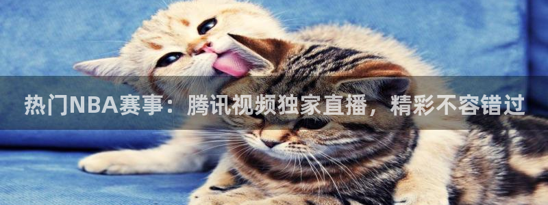 919看球直播app：热门NBA赛事：腾讯视频独家直播，精彩不容错过
