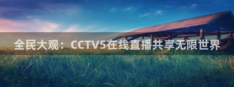 919体育直播间在线看