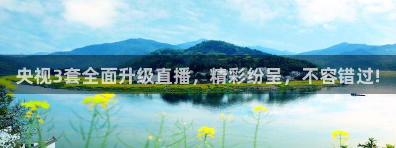 919看球直播官网入口：央视3套全面升级直播，精彩纷呈，不容错过!