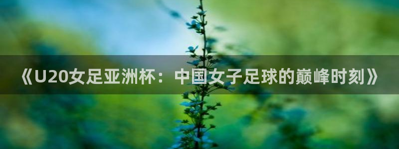 919nba直播：《U20女足亚洲杯：中国女子足球的巅峰时刻》